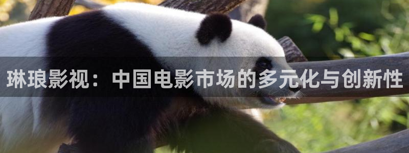 长乐曲金牌影院在线观看：琳琅影视：中国电影市场的多元化与创新性