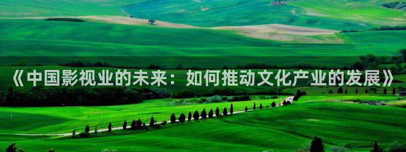 金牌女警电影：《中国影视业的未来：如何推动文化产业的发展》